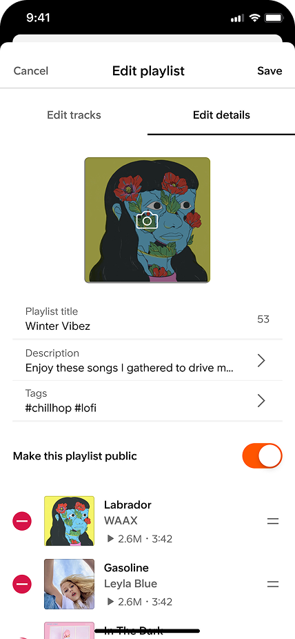 Edit playlist with applied tags showing below metadata