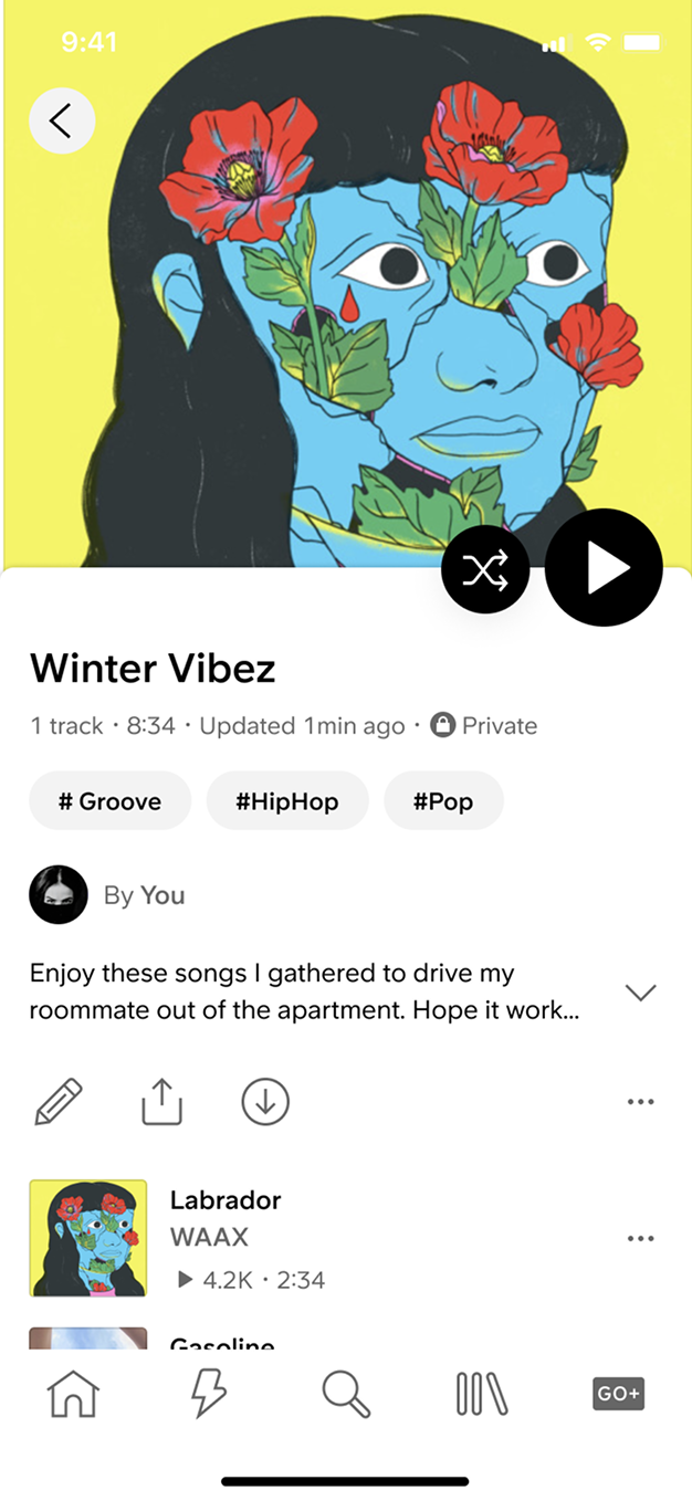 Playlist with tags below the description (before)